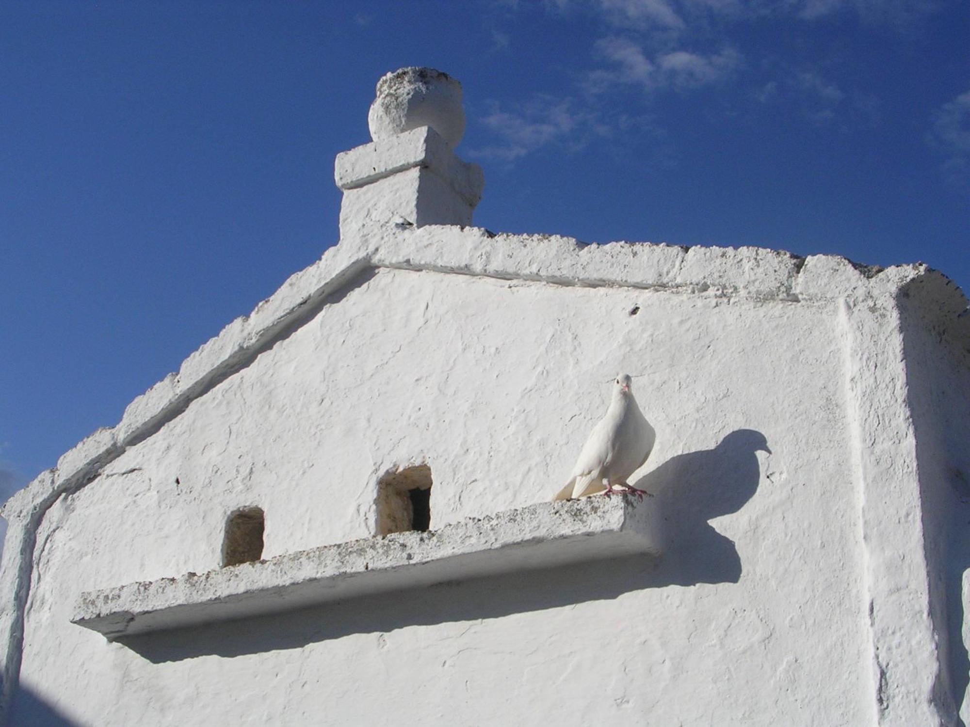 Masseria Purgatorio Фазано Екстериор снимка