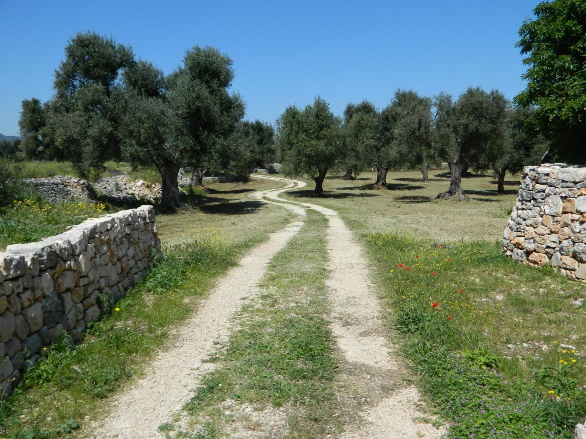 Masseria Purgatorio Фазано Екстериор снимка