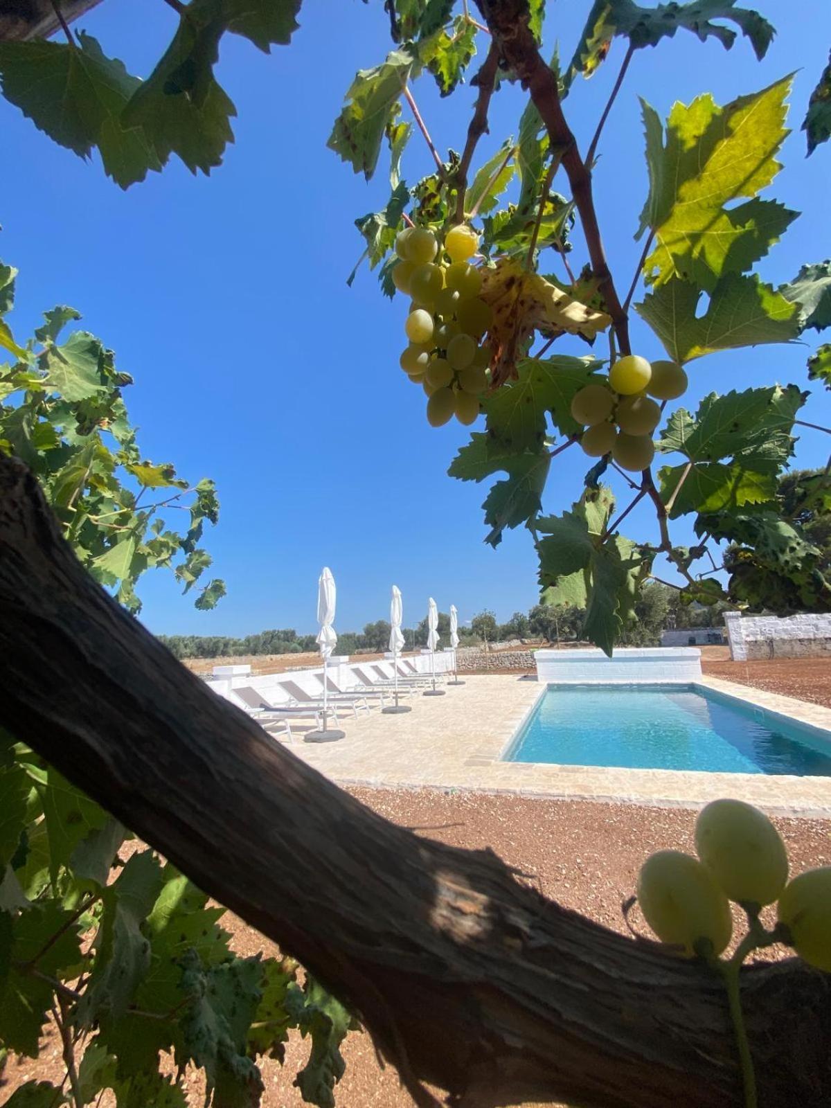Masseria Purgatorio Фазано Екстериор снимка