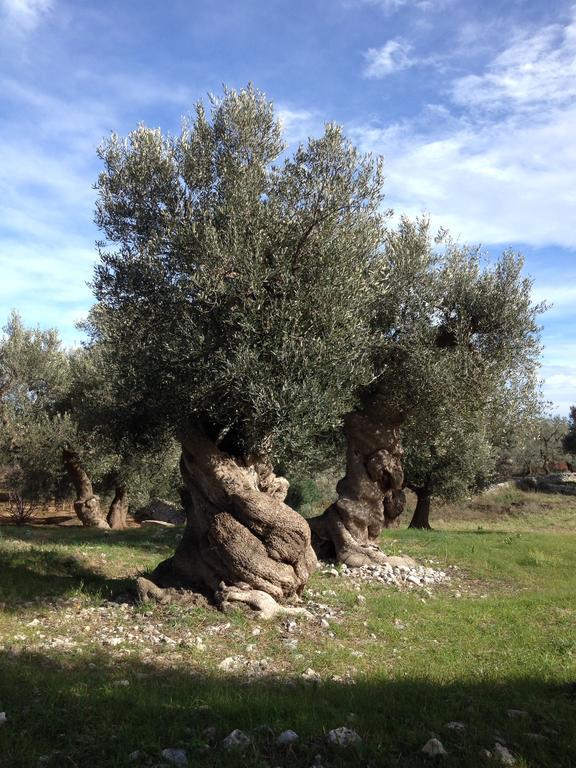 Masseria Purgatorio Фазано Екстериор снимка